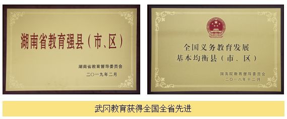 陈文胜等:武冈市脱贫攻坚与乡村振兴协同推进的探索(1)