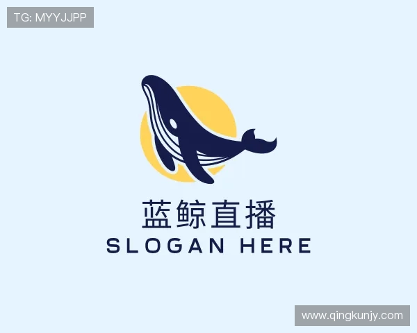 解读蓝鲸官网